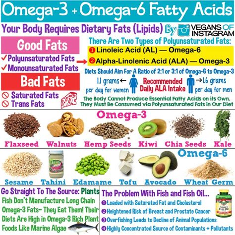 omega 6 oils to avoid.